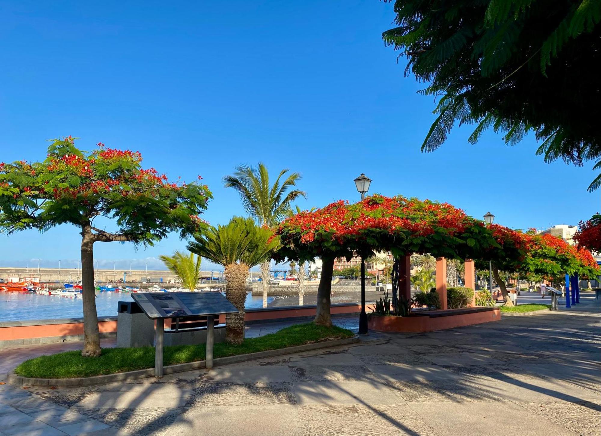 Casa Antonio - Apartamento Luna Playa de San Juan  Esterno foto